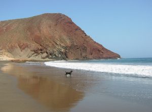 La Tejita, Tenerife