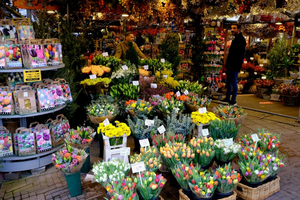 Bloemenmarkt, Amsterdam, Olanda