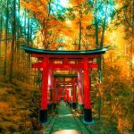 Fushimi Inari Taisha, Kyōto-shi, Giappone
