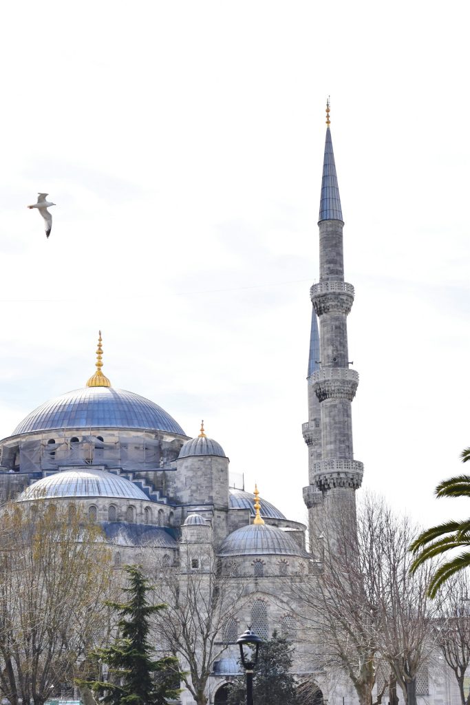 La Moschea Blu, Istanbul, Turchia